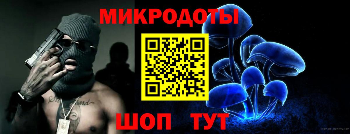 Галлюциногенные грибы Psilocybe Кострома